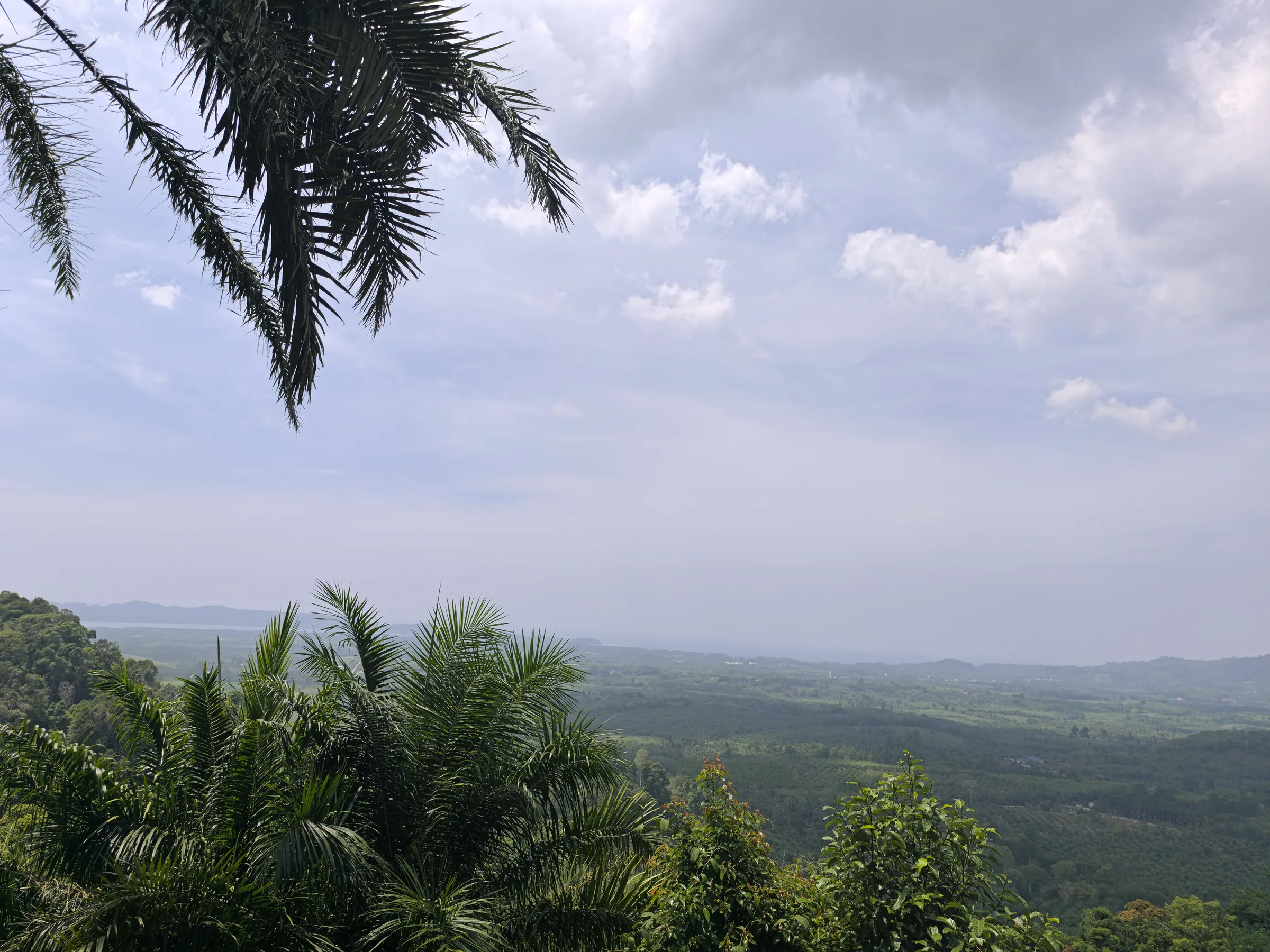 Khao Lak — Dschungel & Aussicht