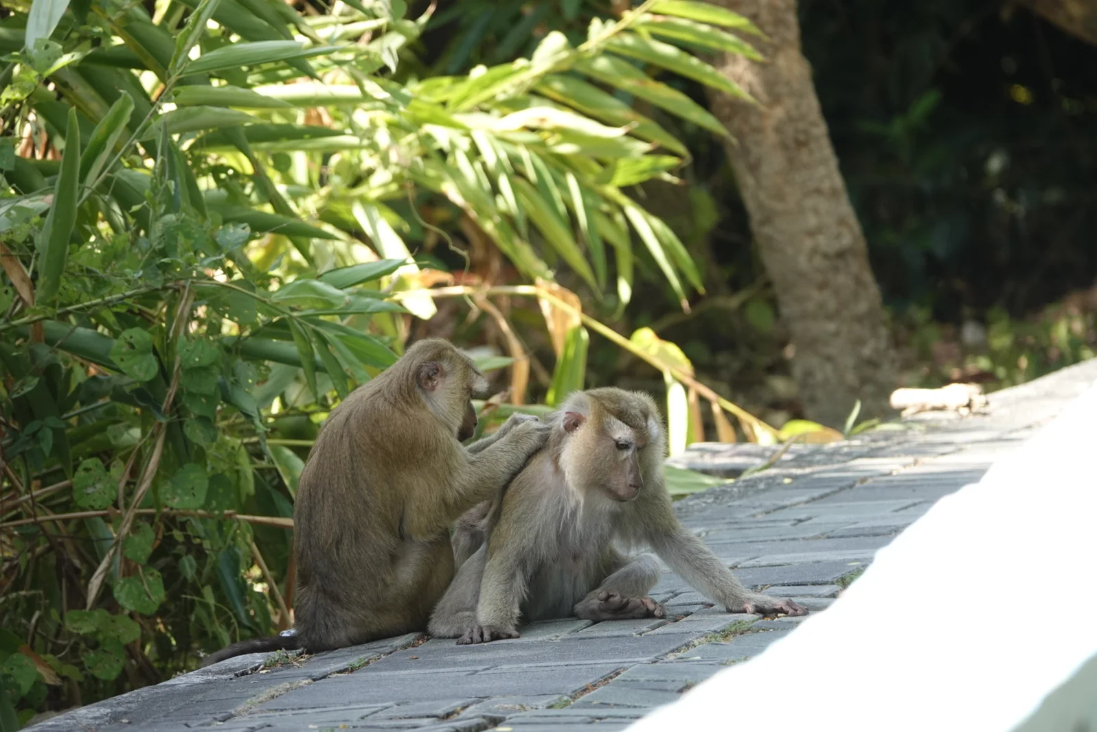 Süd-Thailand